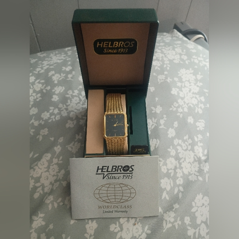 Helbros Men’s Gold Mesh Bracelet Watch with Black Dial